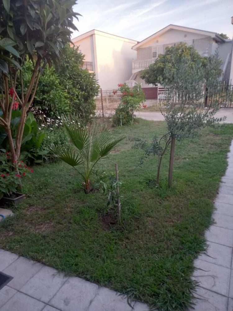 Photo 24