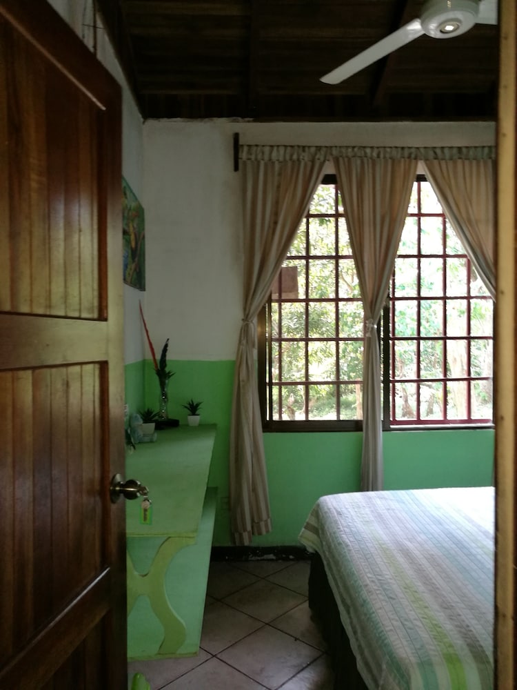 Photo 28