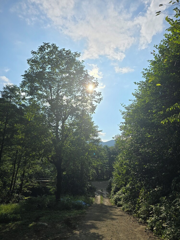 Photo 40