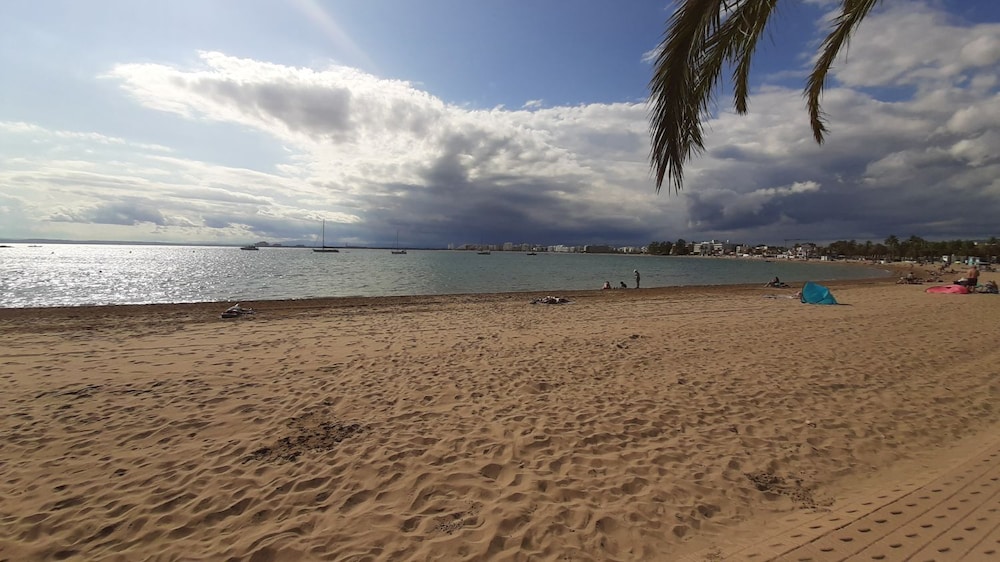 Medas 12 in Palau-sator