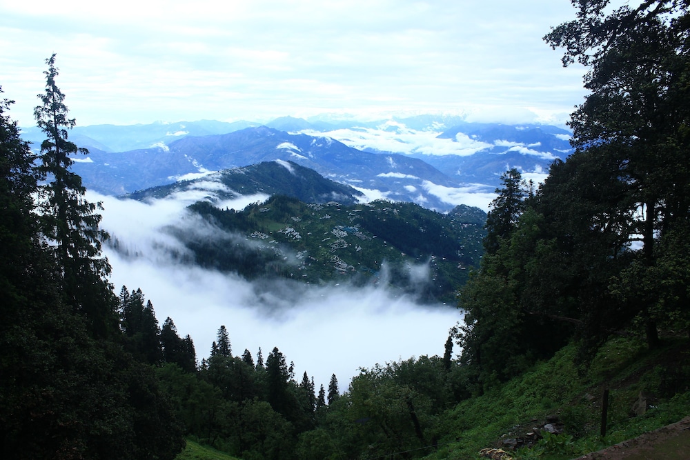 Photo 20