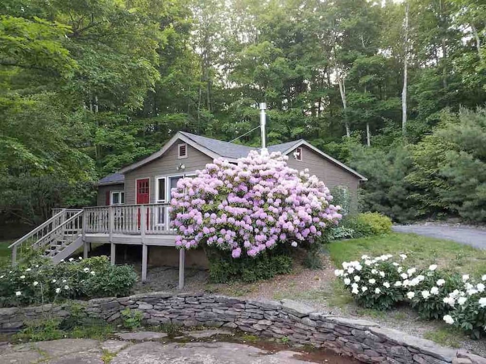 Back House Twin Cabin Ii-hot Tub Fireplace Hiking Retreat