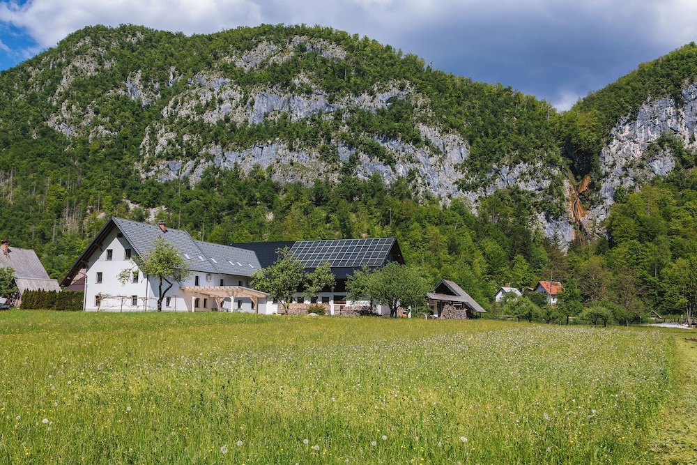 Domačija Log v Bohinju