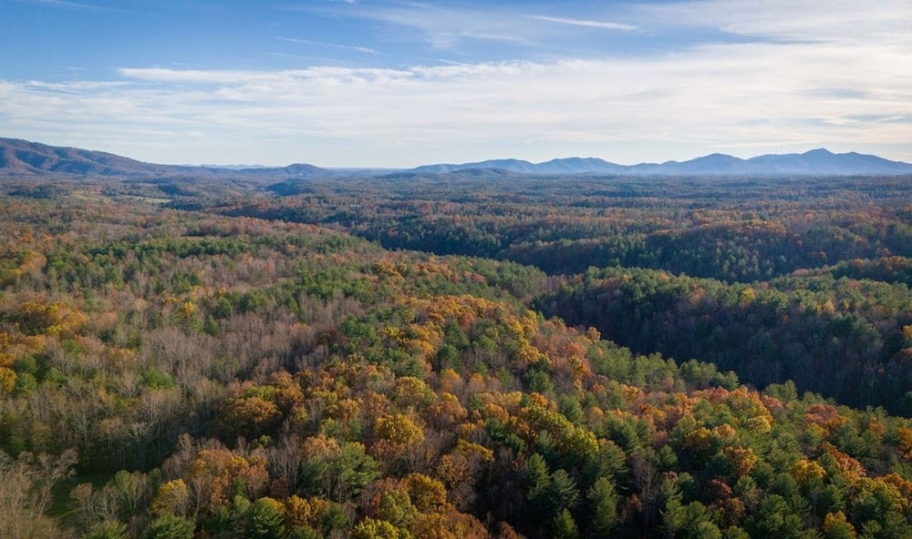 Blue Ridge Beech Cabin