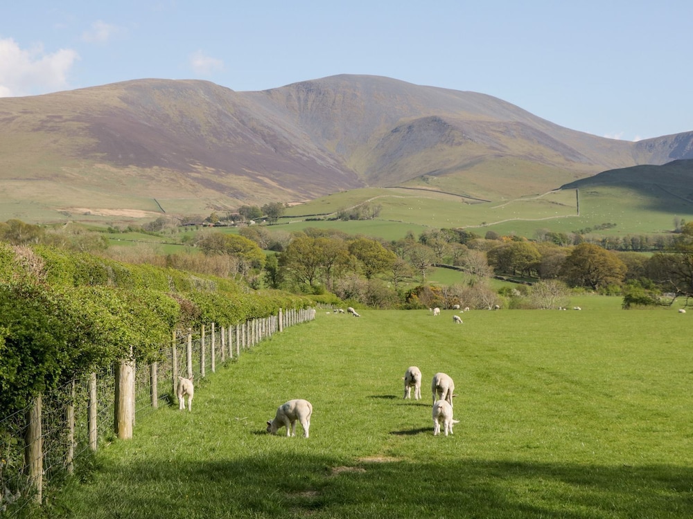 Lakeland View