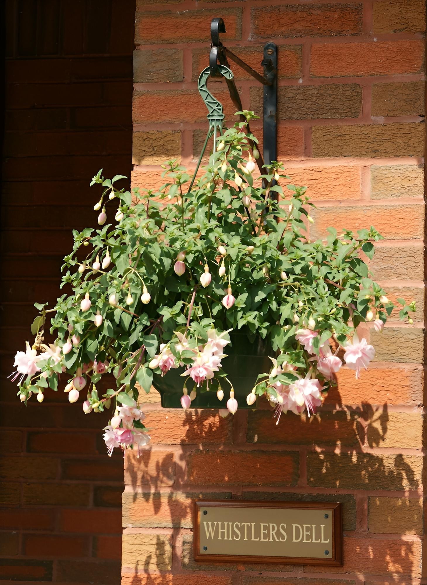 Whistlers Dell B&B