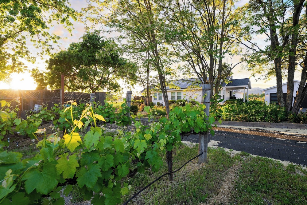 Chic Sonoma Oasis w/ Pool, Bocce, Hot Tub + Minutes to Downtown