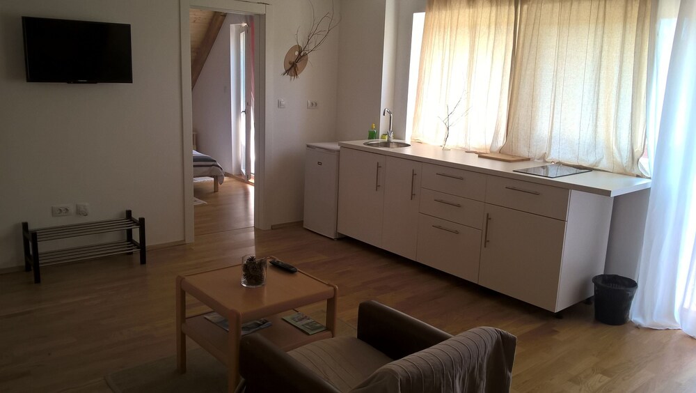 Guesthouse Bor