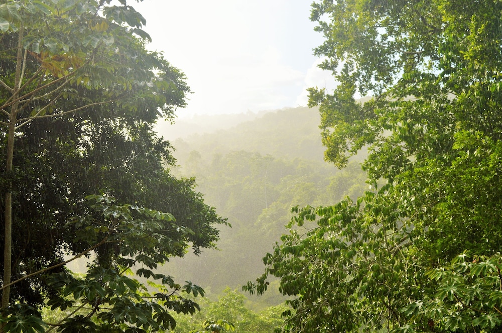 Belize Vacations - Table Rock Jungle Lodge - Property Image 15