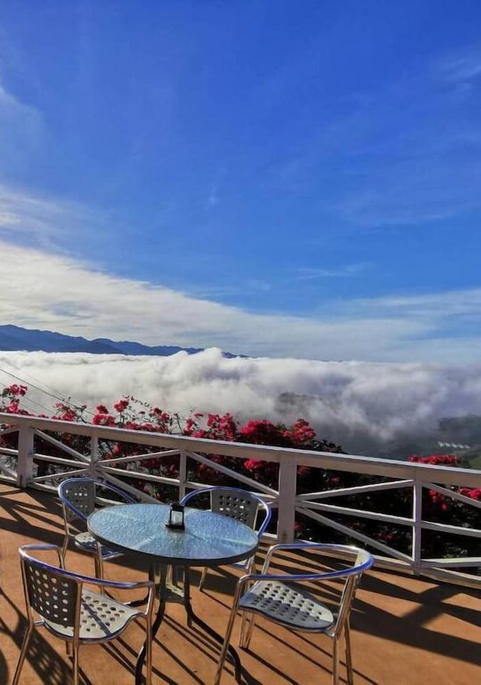 Alishan Tea Garden