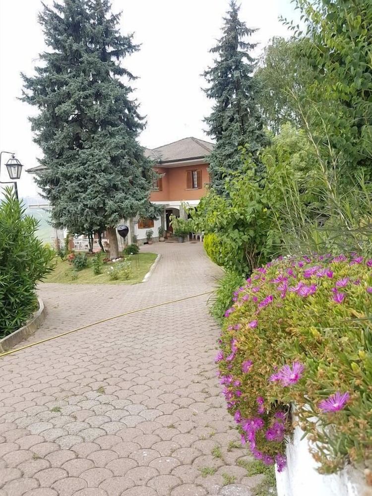 Photo 33