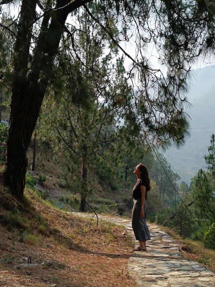 Jaseelo Camps near Tehri Lake