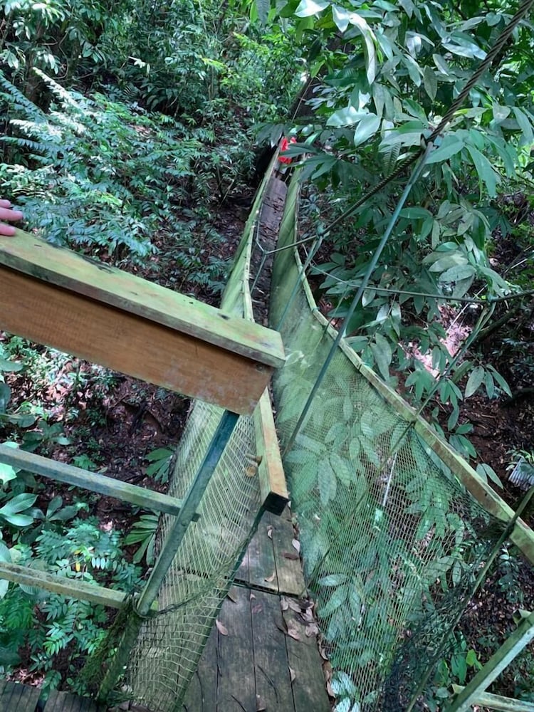 Corcovado Adventures Tent Camp