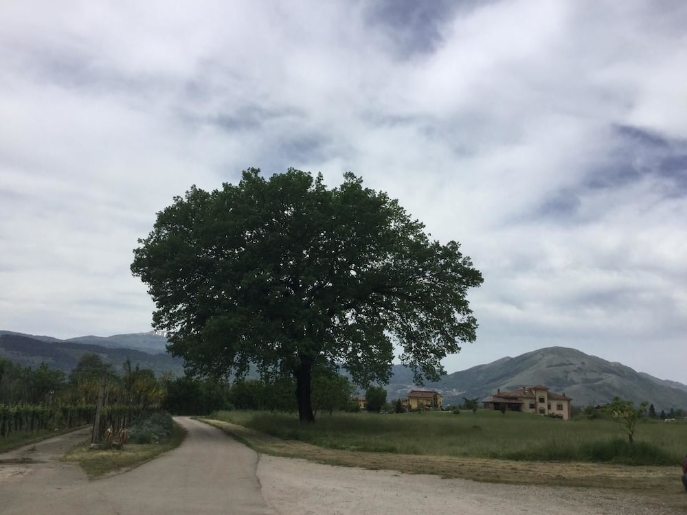 La Fonte