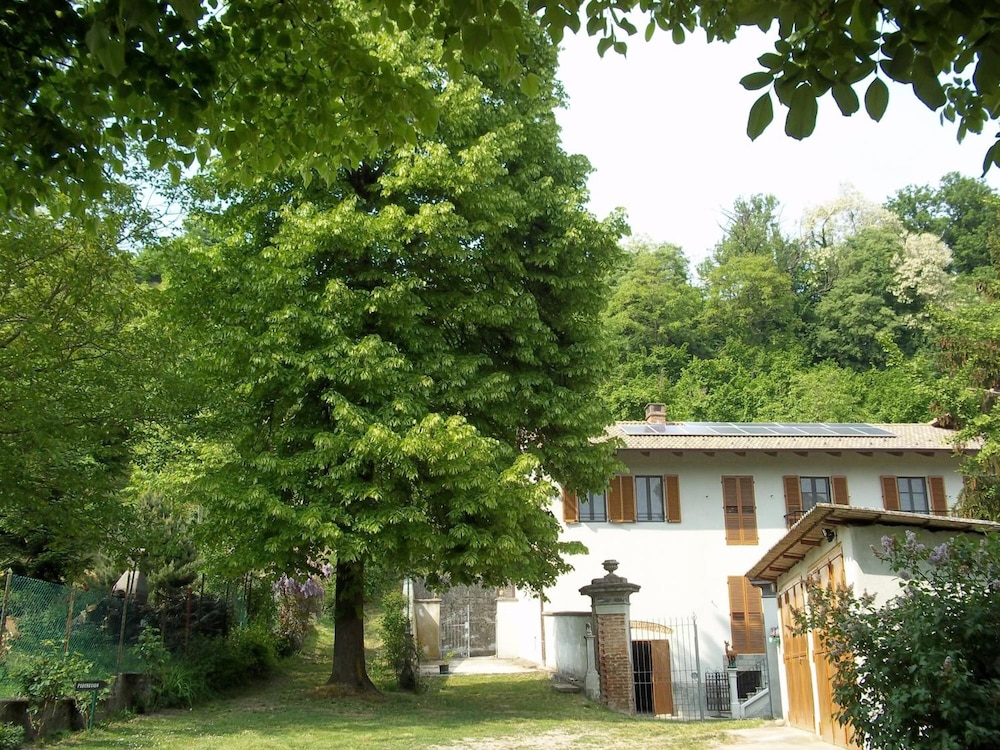 Photo 9