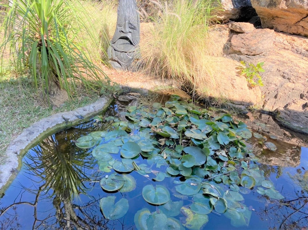 Family Lodge in Natural African Bush - 2115