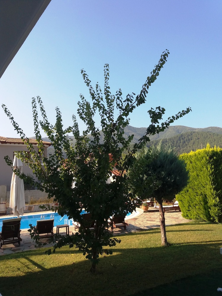 Photo 23