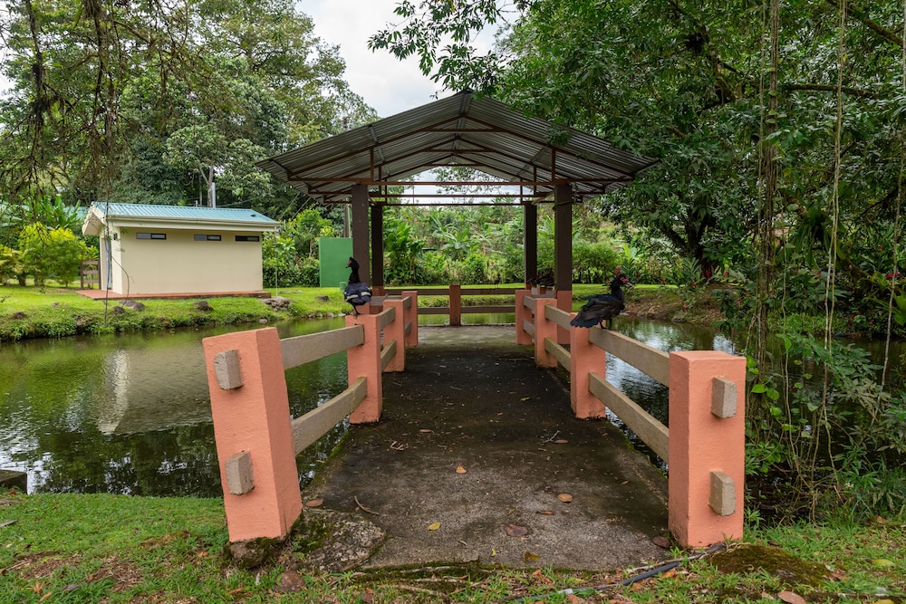 Villa el Bosque La Fortuna