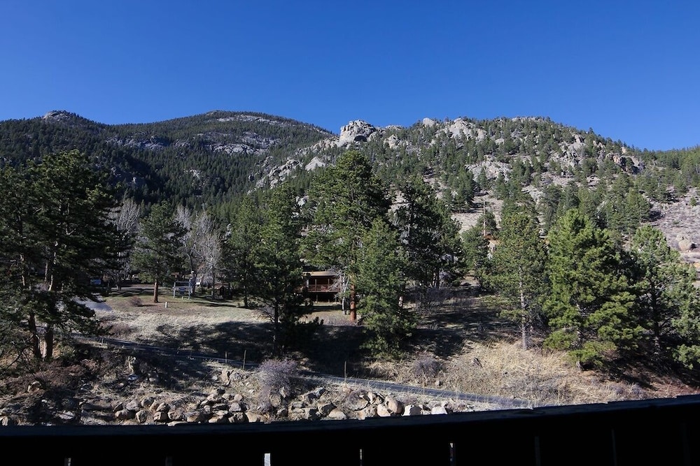 Fawn Valley Inn: 279 3 Bedroom Condo - Property Image 11