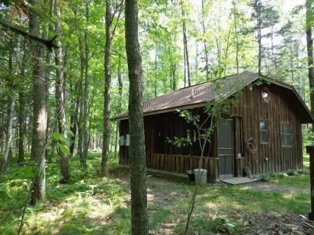 Shire In The Woods