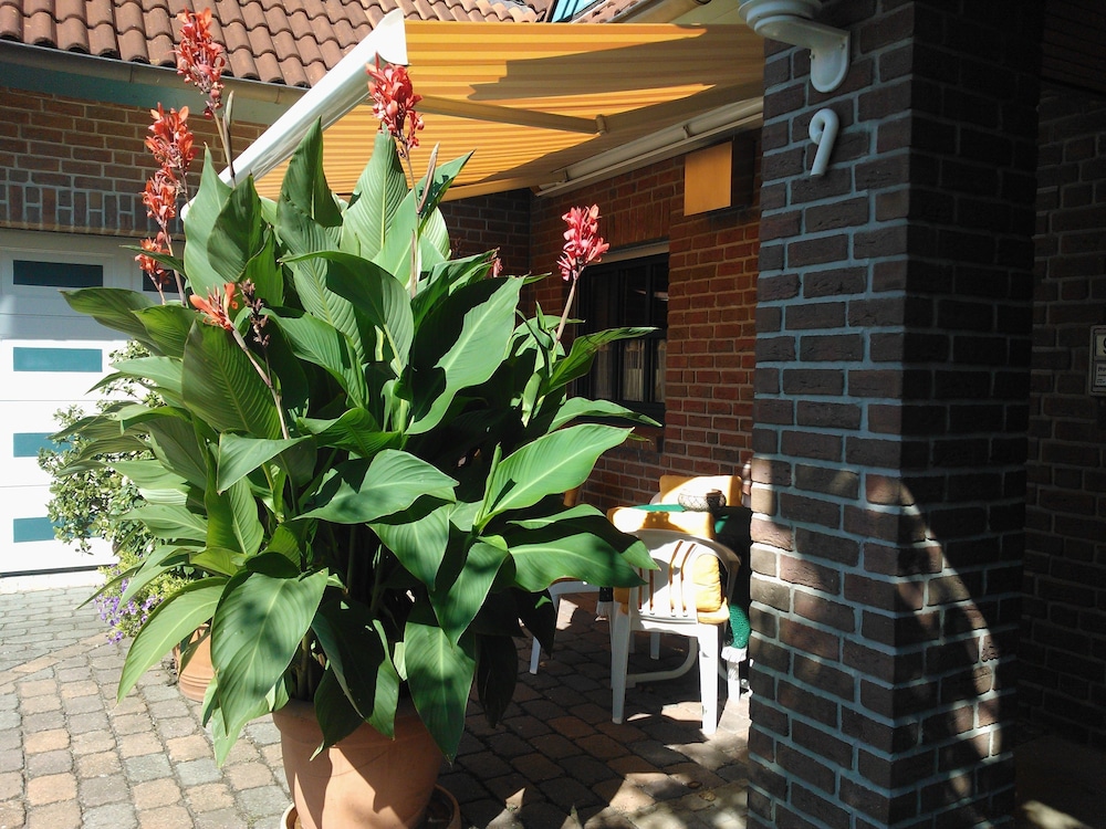Hotel Garni Schneevoigt - Property Image 24