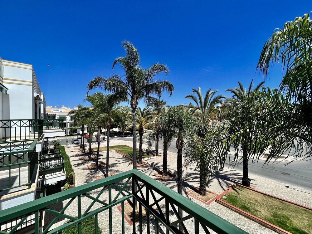 Tavira Palm Tree by Homing view 2
