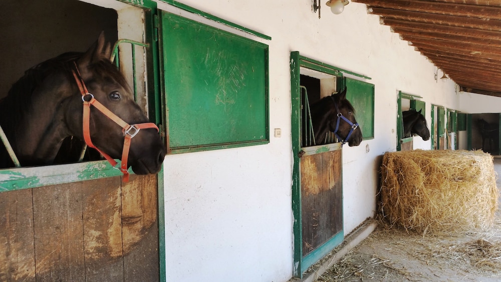 Masseria Luco