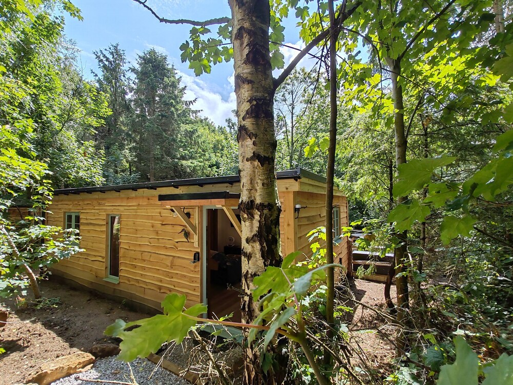 Hayne Barn Estate - Private Estate : 6 Eco Lodges - 1 Studio