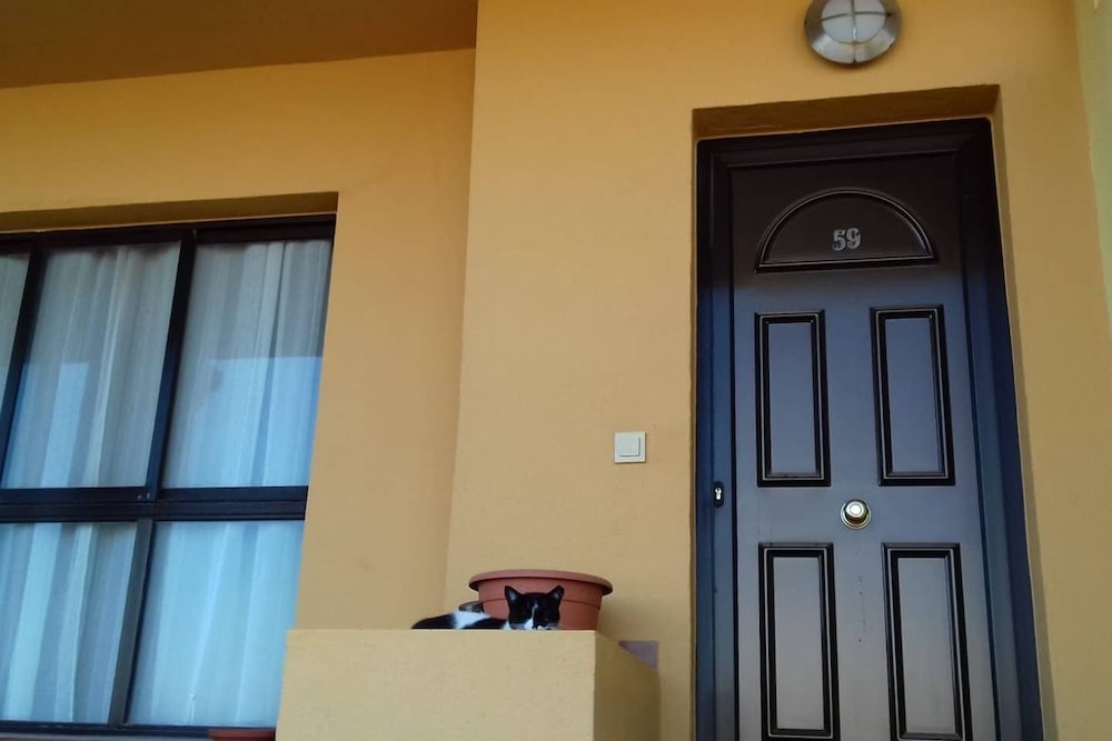 Beachfront House in Playa de Arinaga photo 1