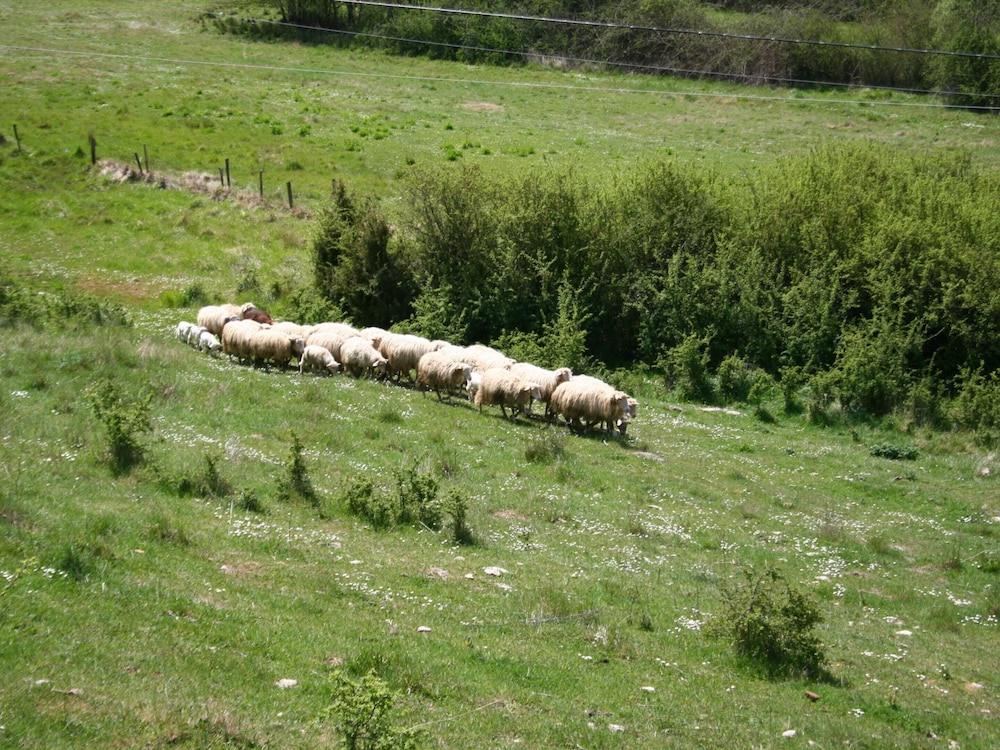 Photo 18