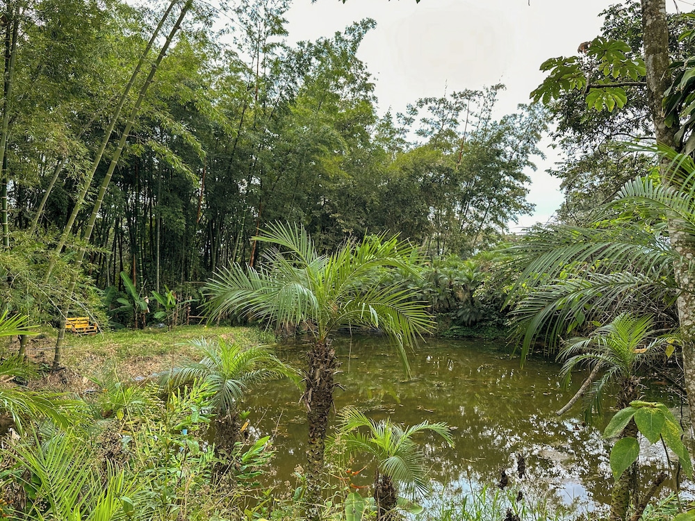 El Nido Andino