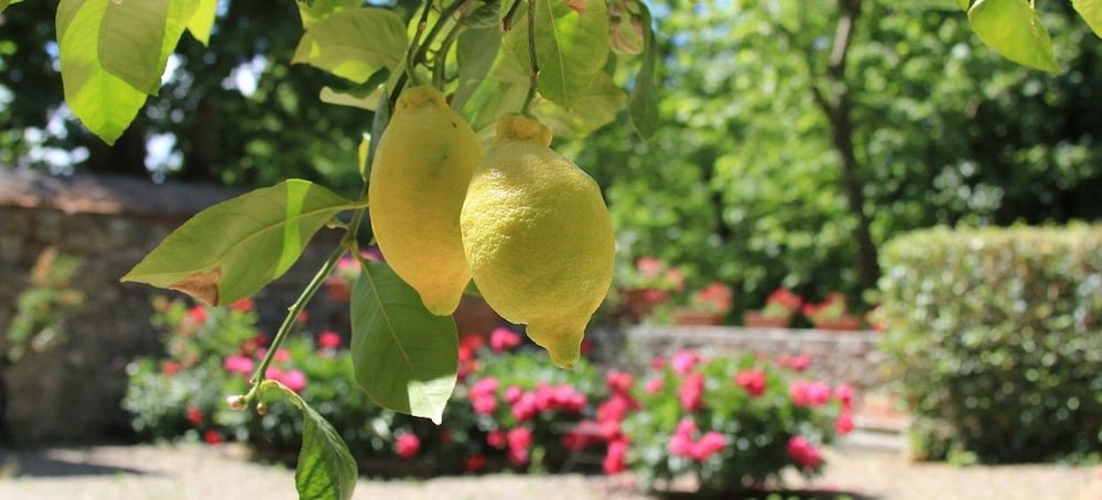 Photo 48