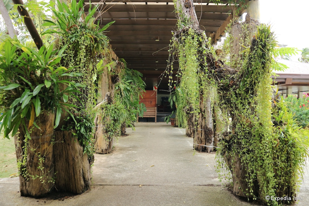Dos Palmas Island Resort & Spa