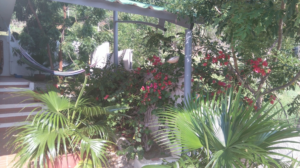 Casa Oasis, Taganga
