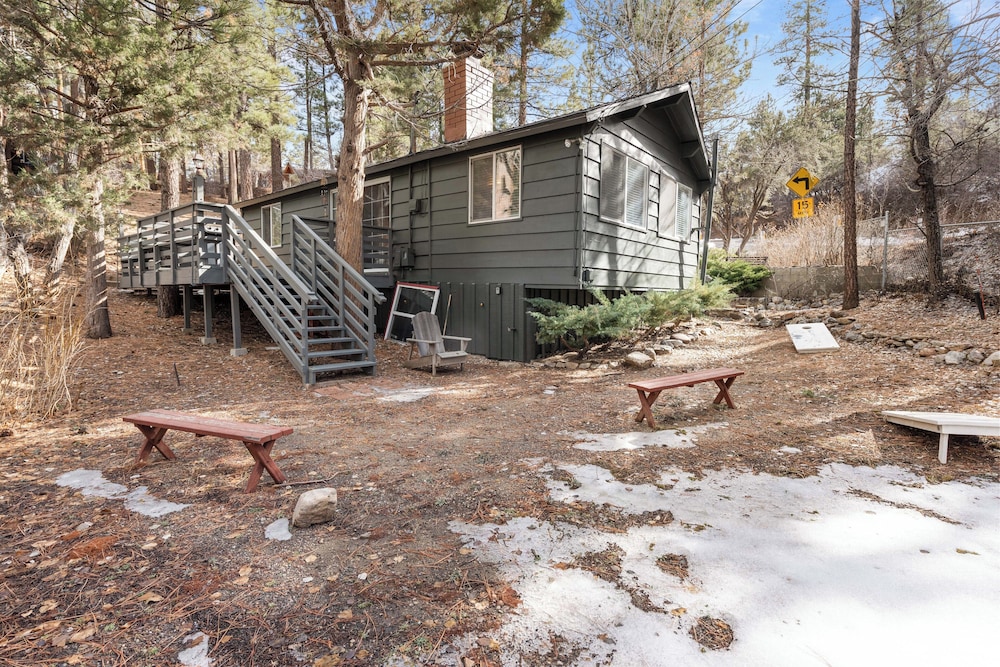 Dark Pine Retreat