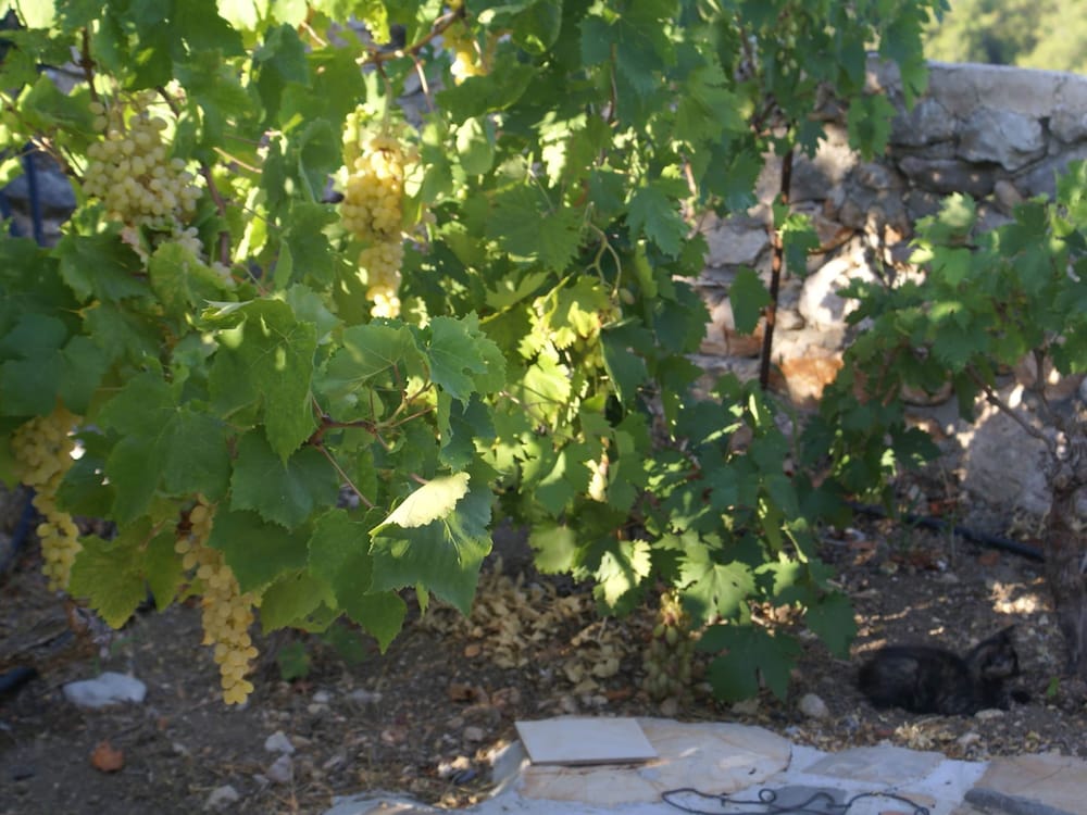 Holiday Home With Garden in Kritinia