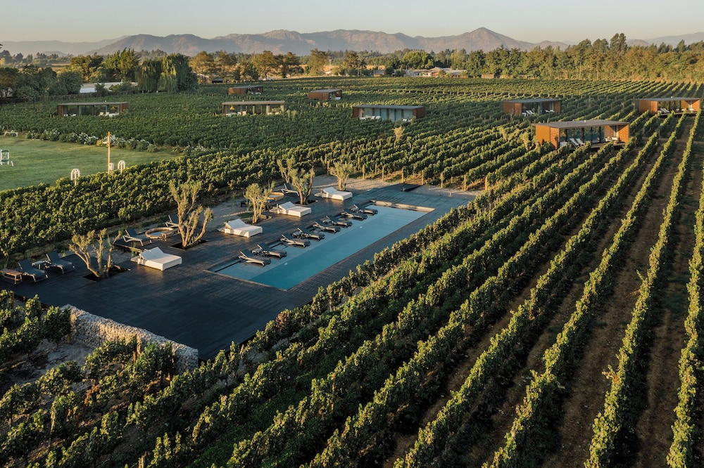 Vibo Wine Lodge