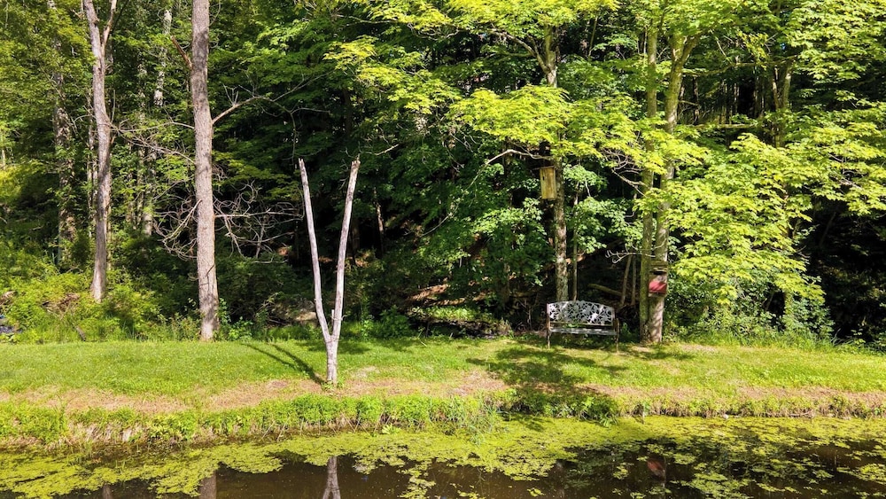 Historic Barn Retreat w/ Pool & Pond Views Longview Pond Lodge by Avantstay