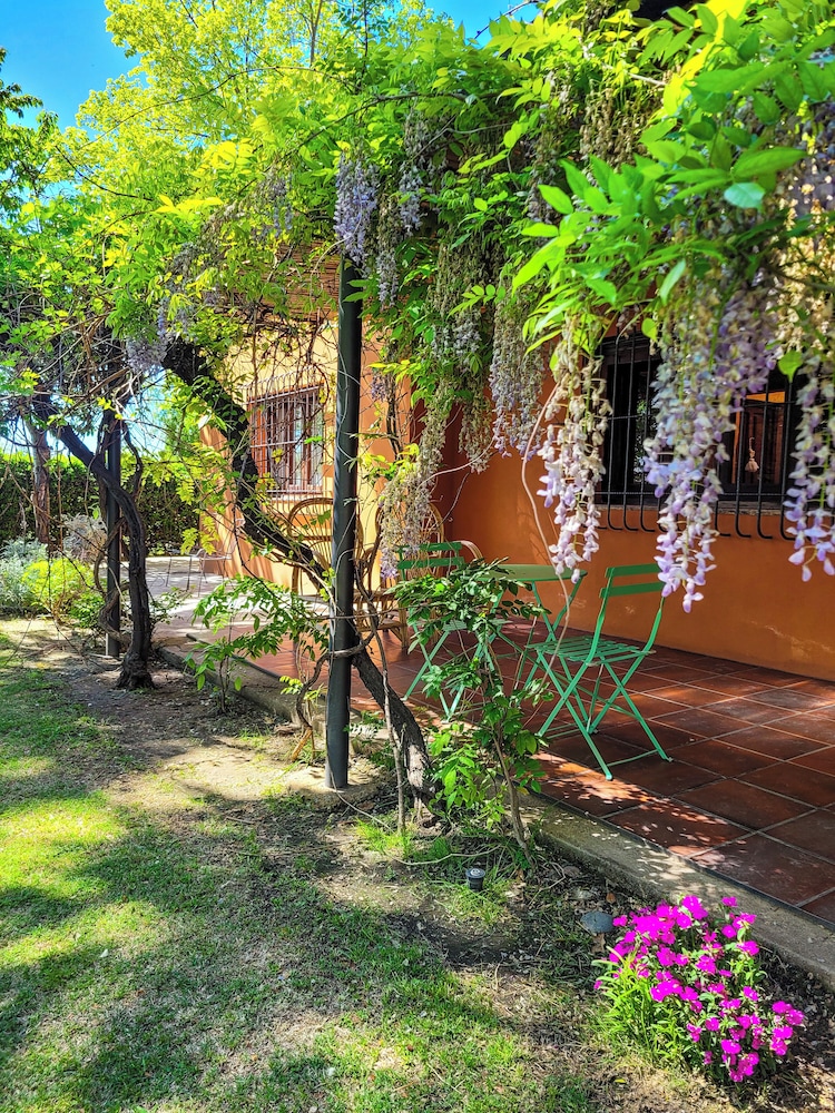 Finca La Saucina