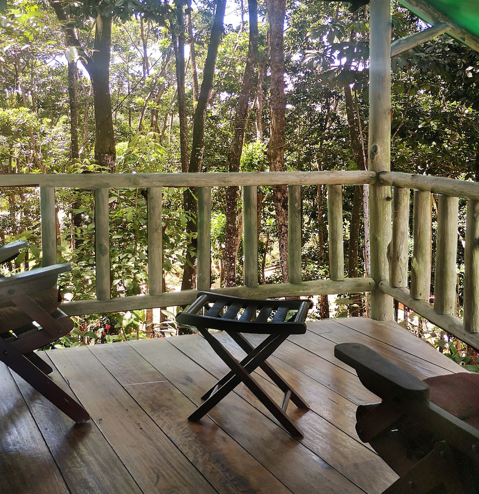 Hotel del Bosque