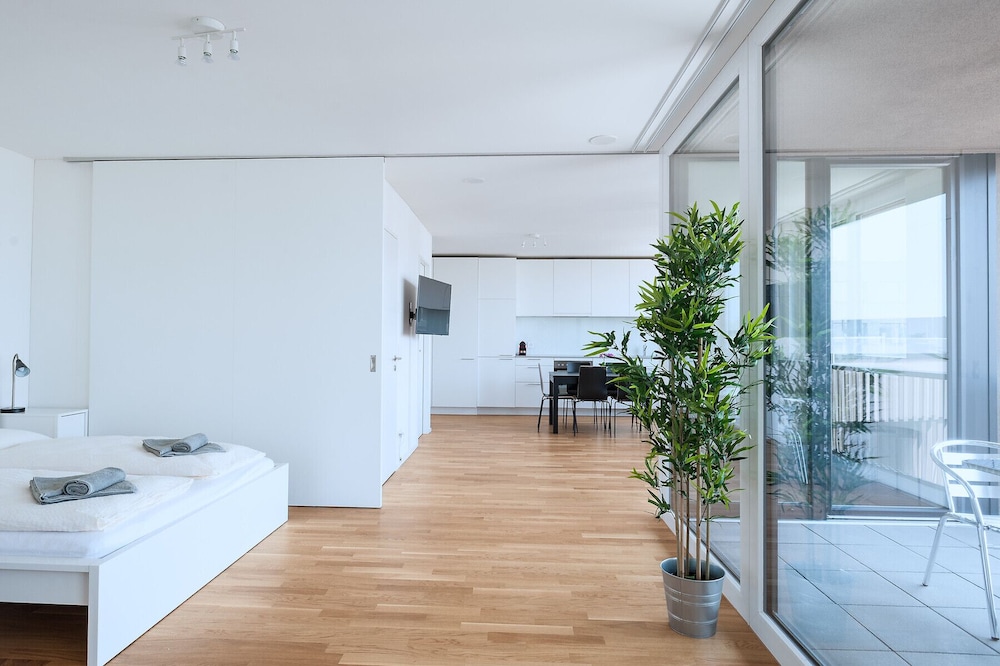 Hitrental Basel Apartments view 3