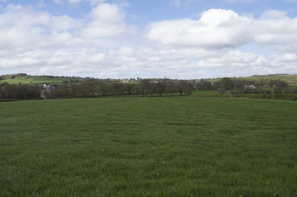 Photo 42