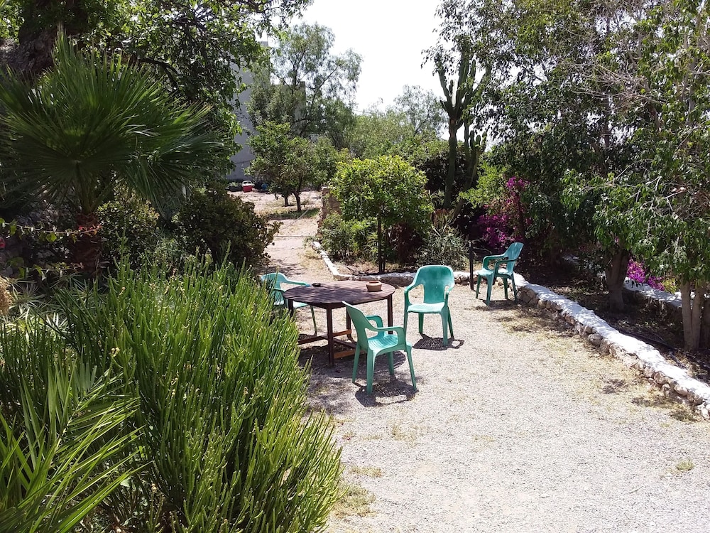Photo 21