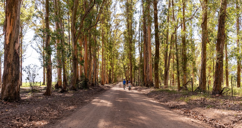 AfriCamps at Oakhurst- Glamping