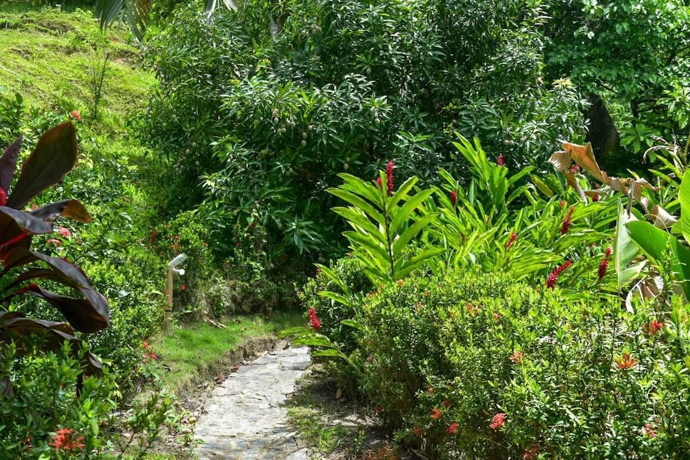 Ecohabs Bosques del Tayrona