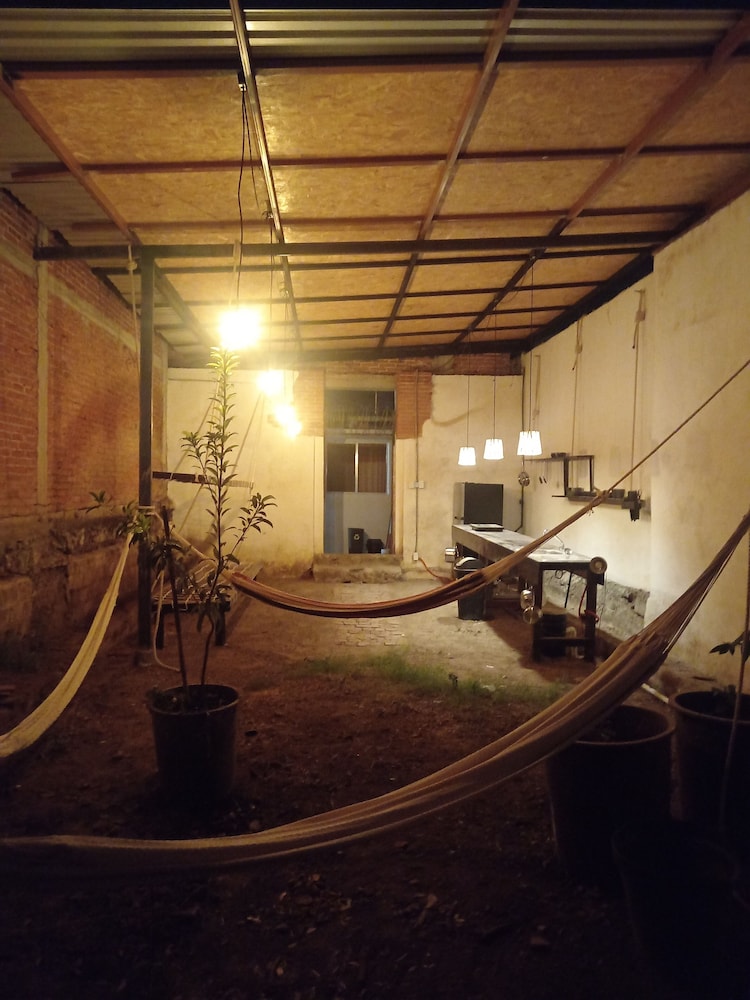 Iguana Co-living