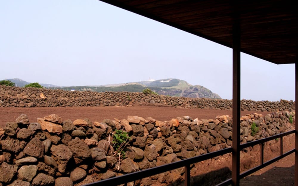 Jeju Poyoyo Pension and Guest House view 5