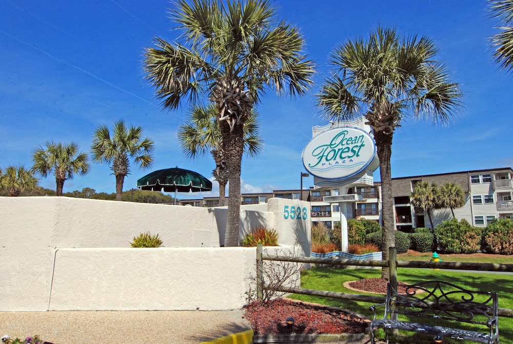 Cozy Ocean View Condo! Beach Front Building! view 4