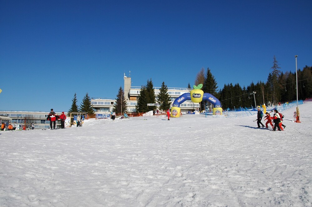 Photo 12