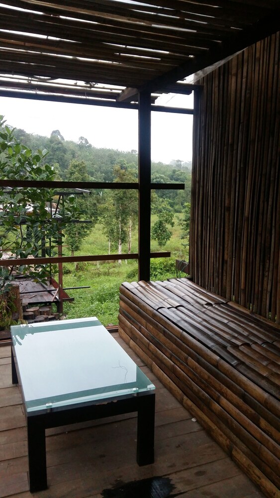 drmind farm